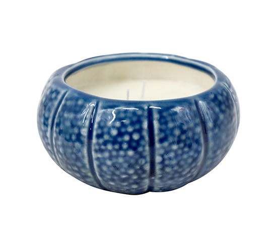 Summer Scented Candle in Ceramic D11.8xH5.8cm