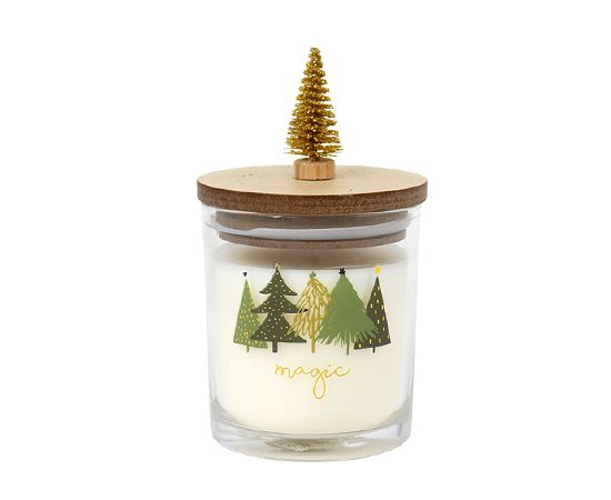 Christmas Scented Candle in Glass D8xH9cm